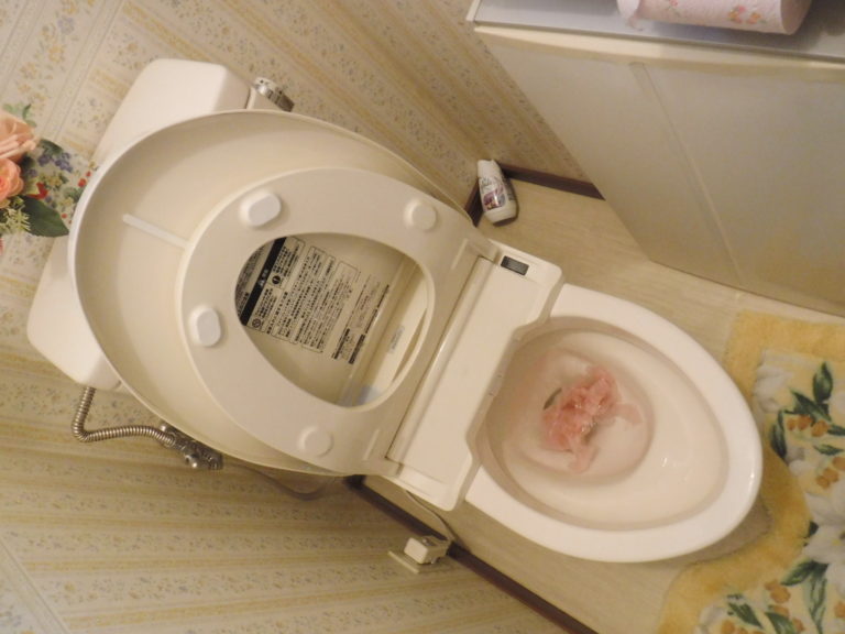 トイレつまり修理/水を流したらゴポゴポ音がする→詰まりトラブル原因便器に落としたカイロ アクアDr. トイレ