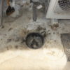 油の固まり排水管詰まりかけ/キッチンの雑排水管高圧洗浄清掃