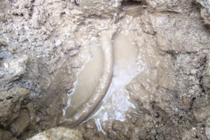 パイプ水漏れのため周りの土がドロドロです