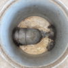 排水桝、排水管油詰まり掃除 高圧洗浄清掃