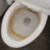 トイレの掃除/便器尿石,黄ばみの手洗い清掃でピカピカ