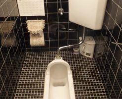 トイレ和便器タイプの水漏れ修理