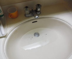 洗面台の排水口のフタの故障で水が流れなくなりました