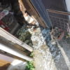 池田市トイレつまり修理/排水管詰まり高圧洗浄清掃、マンホール掃除