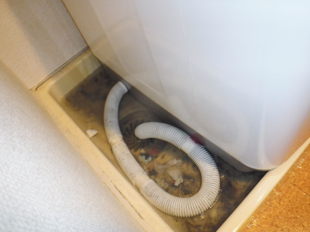 兵庫県尼崎市での排水管詰まりのため風呂と洗濯機の水が詰まり流れない状態