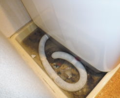 兵庫県尼崎市での排水管詰まりのため風呂と洗濯機の水が詰まり流れない状態