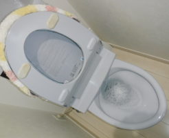 兵庫県伊丹市トイレ詰まり修理/便器つまりの解消の水道屋、清掃業者のアクアDr.にお任せ