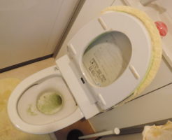 大阪でのトイレ詰まり原因解消/物を便器に落として流してしまった