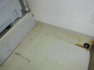 どけた棚の後ろは床が水で湿っていたので頻繁に水漏れしていたようです