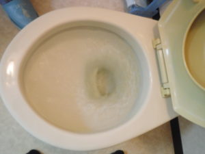 トイレの水の流れもかなり悪い状態