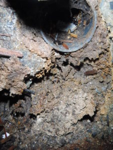 コンクリートマス側面が経年劣化でボコボコに穴が開いている状態です