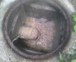 【箕面市】雑排水マスに汚水が逆流