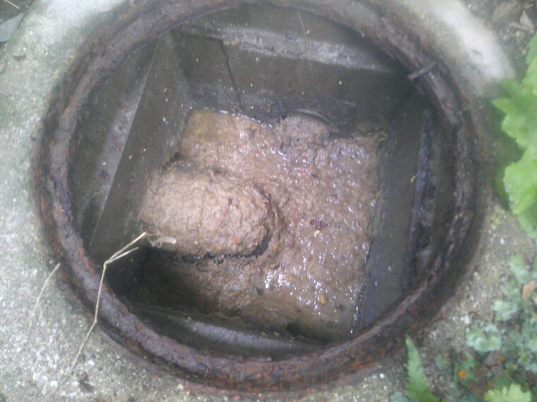 【箕面市】雑排水マスに汚水が逆流