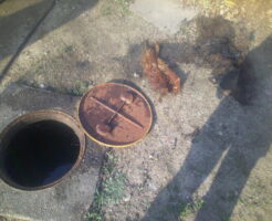 【西宮市】トイレの水が流れずに屋外で汚水が溢れるトラブルの原因解消！