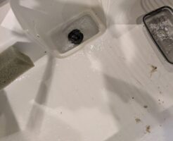 キッチン詰まりの解消作業